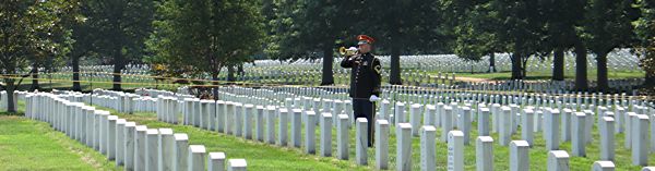 Bugler Playing Taps at Arlington (34k image)