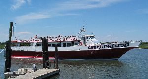 The Cape May Whale Watcher (12k image)